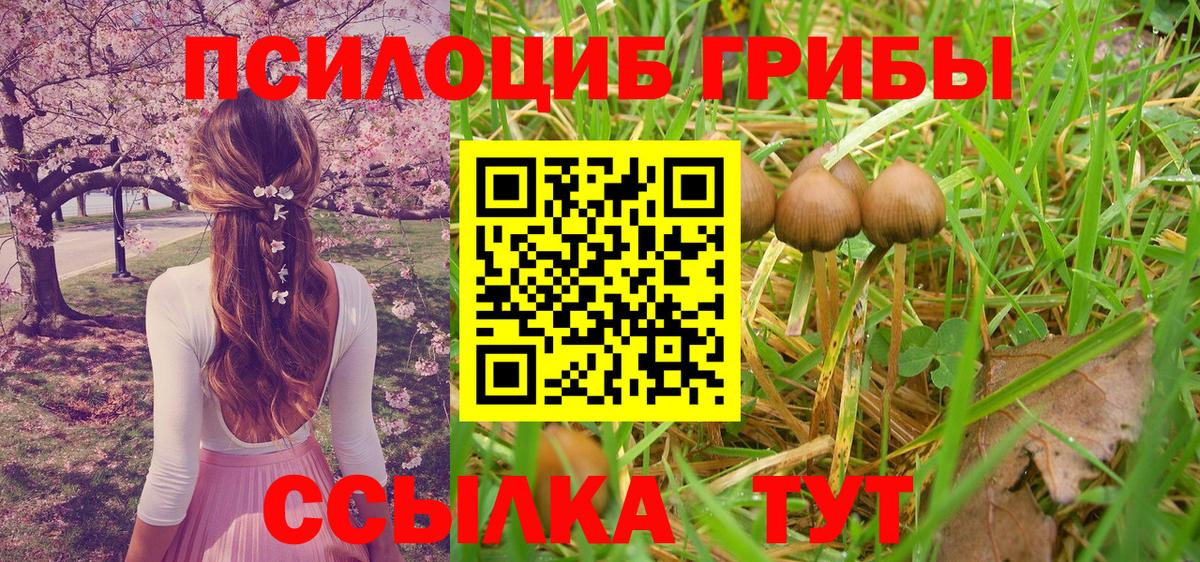 Галлюциногенные грибы MAGIC MUSHROOMS Трёхгорный