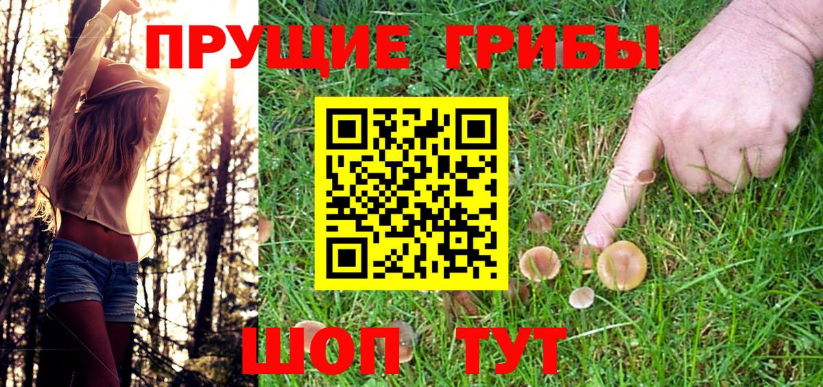 Трёхгорный  Псилоцибиновые грибы мицелий  Псилоцибиновые грибы Cubensis  Вход с VPN 