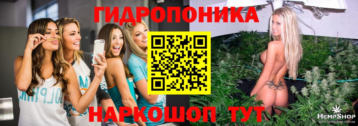 Шишки марихуана OG Kush  Бошки марихуана Ganja  Вход с VPN  Трёхгорный  МАРИХУАНА Amnesia  Шишки марихуана индика 